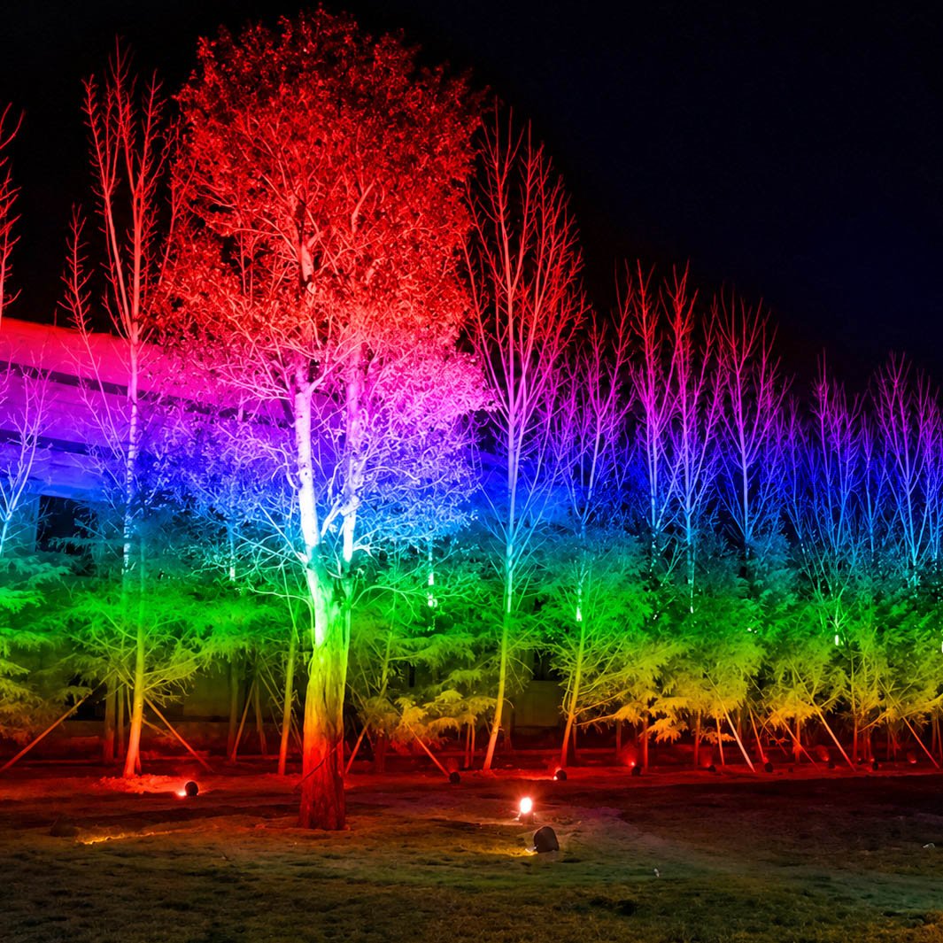 RGB LED Landscape Spot Light Outdoor Waterproof Tree Light - Pulens