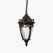 Dimmable Classic Coach Outdoor Pendant Light - Pulens