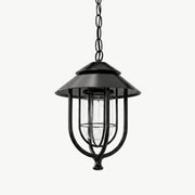 Dimmable Farmhouse Open Cage Outdoor Pendant Light - Pulens