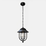Dimmable Farmhouse Open Cage Outdoor Pendant Light - Pulens