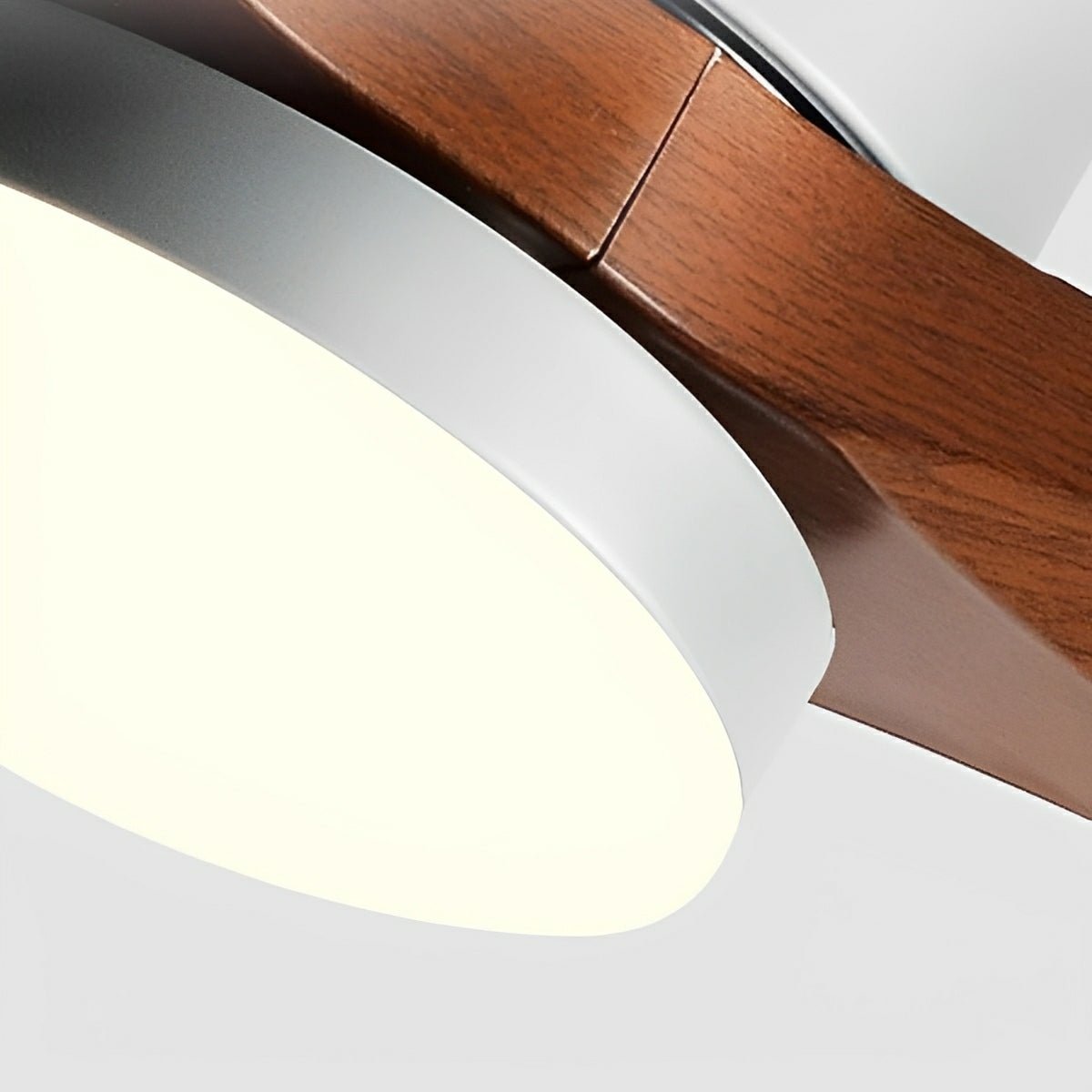 Modern Dimmable 3 Blade Ceiling Fan with Light - Pulens