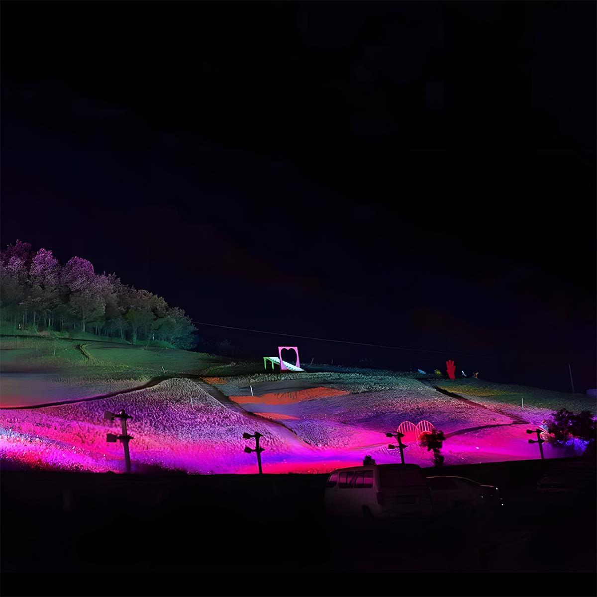 Waterproof RGB Landscape Spotlight LED Outdoor Tree Lighting - Pulens